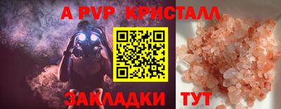стафф Кингисепп