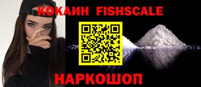 стафф Кингисепп