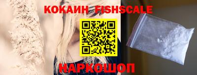 стафф Кингисепп