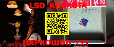 стафф Кингисепп