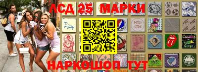 стафф Кингисепп