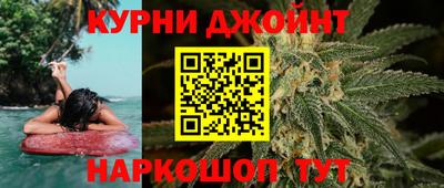 стафф Кингисепп