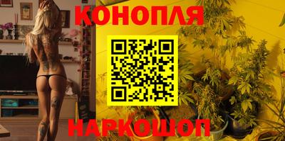 стафф Кингисепп