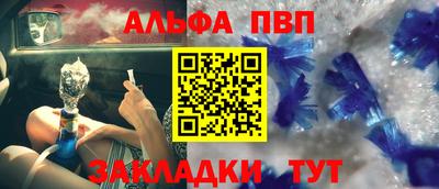 стафф Кингисепп