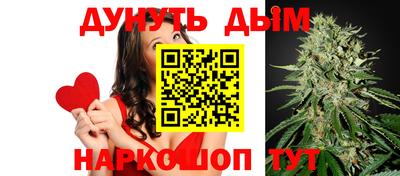 стафф Кингисепп