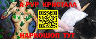 стафф Кингисепп