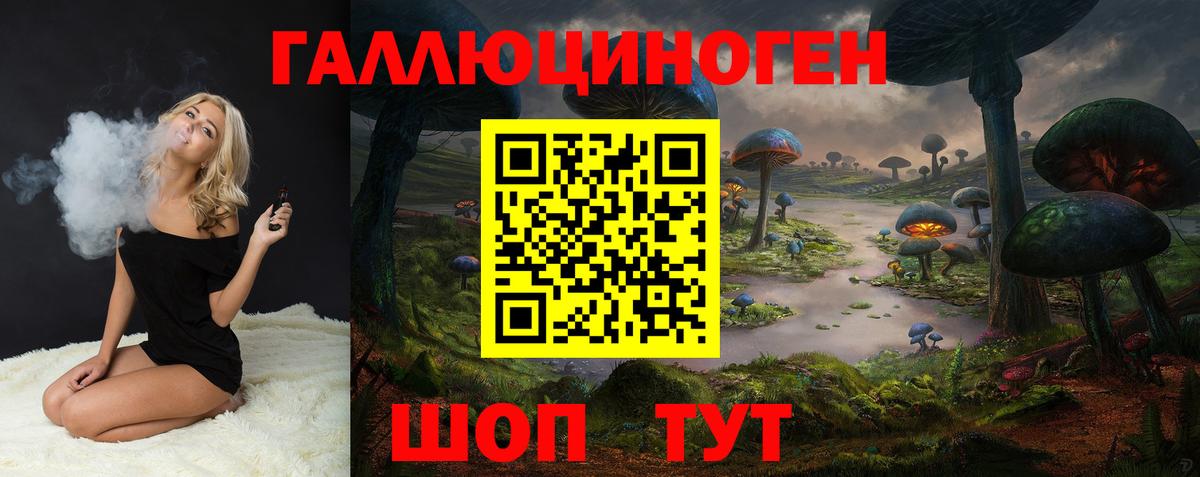 хочу   Псилоцибиновые грибы GOLDEN TEACHER  Псилоцибиновые грибы Magic Shrooms  Вход с VPN  Котельники 