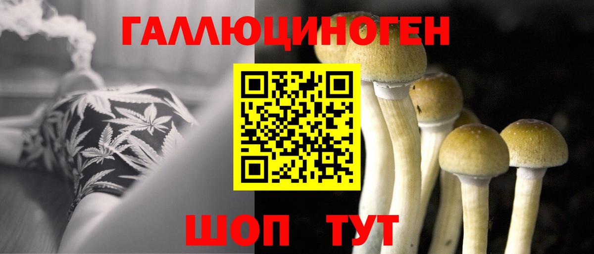 Псилоцибиновые грибы Psilocybine cubensis Котельники